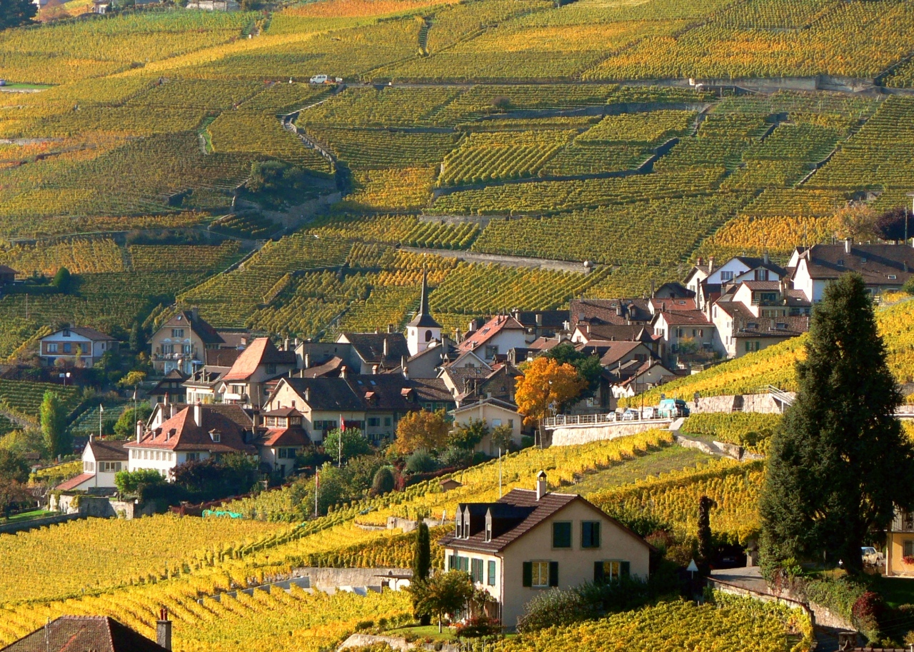 Guide paysage de Lavaux | PLAREL