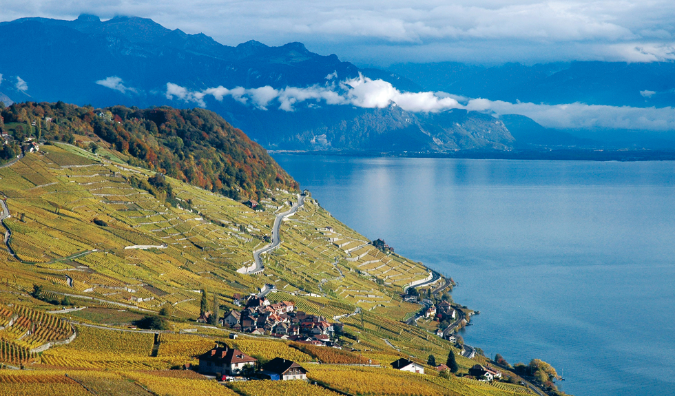 Guide paysage de Lavaux